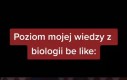 Jest źle