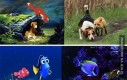 Filmy Disneya vs Rzeczywistość