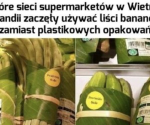 I to się nazywa ekologia