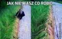 Jak nie masz co robić...