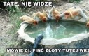 Widziałem!