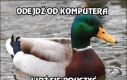 Odejdź od komputera i idź się pouczyć