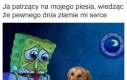Czemu psy tak krótko żyją..?