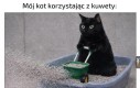 Ma rozmach