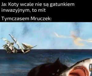 Mruczek.... nie teraz...