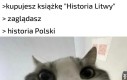 Tak to już jest