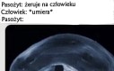 Takie życie, pasożycie