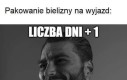 Przezorny zawsze ubezpieczony
