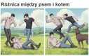Inny rodzaj wsparcia