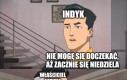 Marzenia indyka