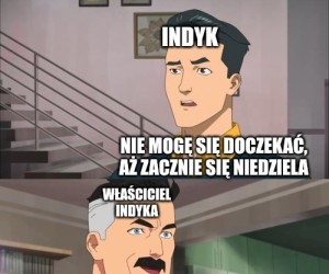 Marzenia indyka