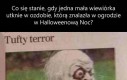 Wiewiórczy terror