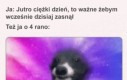 Mózgu czemu