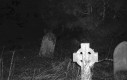 Przerażający duch z cmentarza