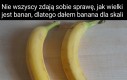 Banana Joe