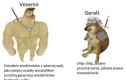 Który lepszy?