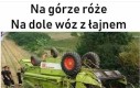 Piwo!