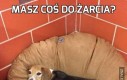 Masz coś do żarcia?