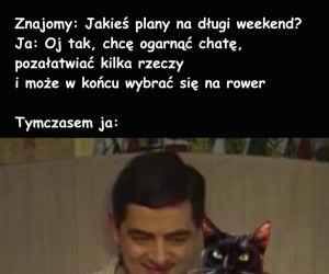 Mam wiele ważnych planów