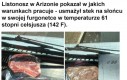 Smażenie w samochodzie