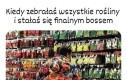 Co za potęga