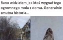 Nieludzkie w taki mróz