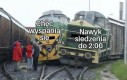 Życie jejaka