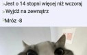 Niezła ta tegoroczna zima