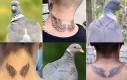 Też tak umiem - powiedział gołąb