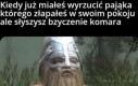 Dogadamy się