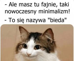Nowoczesny minimalizm