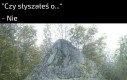 Tak, żyję pod kamieniem
