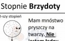 Stopnie brzydoty