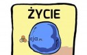 Życie