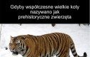 Od razu bardziej epicko
