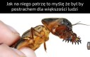 Co to za maszkara?!