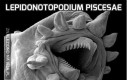 Lepidonotopodium piscesae