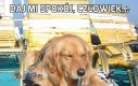 Daj mi spokój, człowiek...