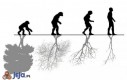 Ewolucja ludzkości i natury