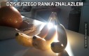 Dzisiejszego ranka znalazłem