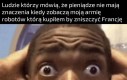 Nigdy więcej żabich udek