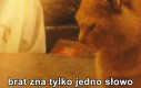 10-ty raz go ograłem