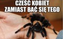 No trochę nie wyszlo