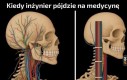 Posegregował