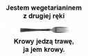 Wszyscy jesteśmy wege