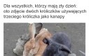 Służę uprzejmie