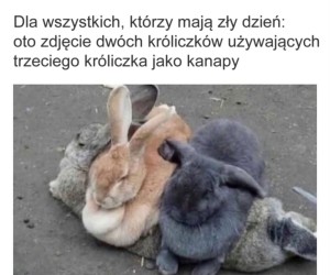 Służę uprzejmie