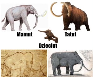 Polskie śmieszki