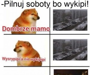 Pilnuj!
