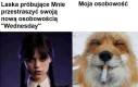 Próbuj śmiało